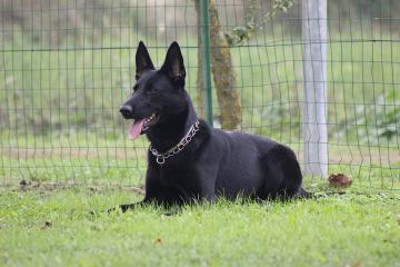 profile_img