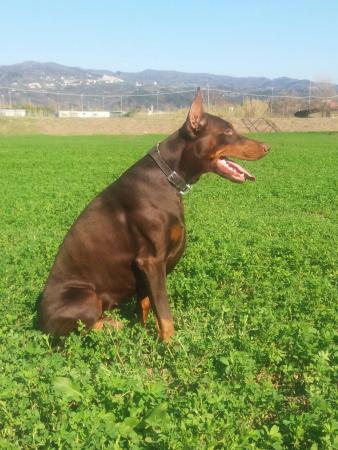 profile_img
