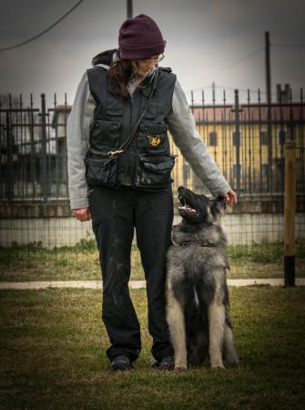 profile_img